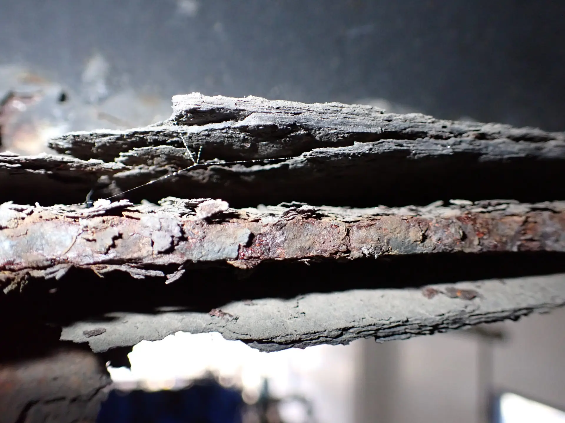 Structural Deterioration Damage